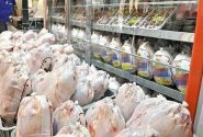 صادرات مرغ؛ راهی برای پایداری تولید