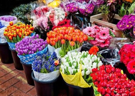 مشکلات بازار گل در گلستان | ضعف در نظارت و افزایش قیمت‌ها