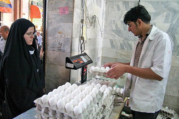 فروش تخم مرغ در بازار گلستان به قیمت مصوب/ با گران فروشی برخورد می شود