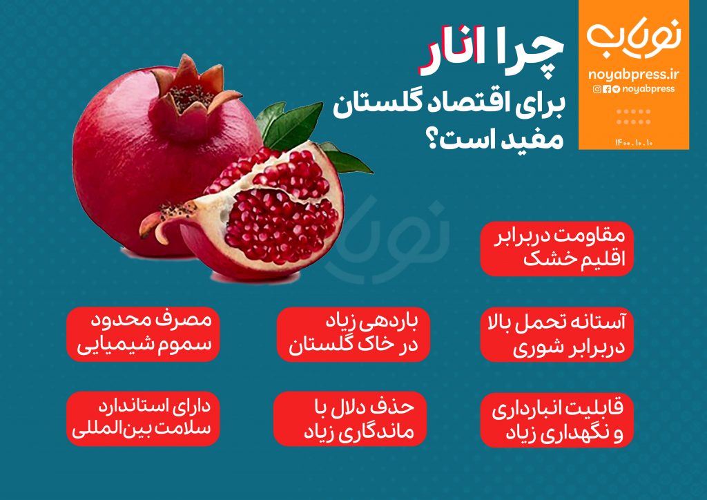InfoNoyab-1024x724 مزیت های انار برای اقتصاد گلستان