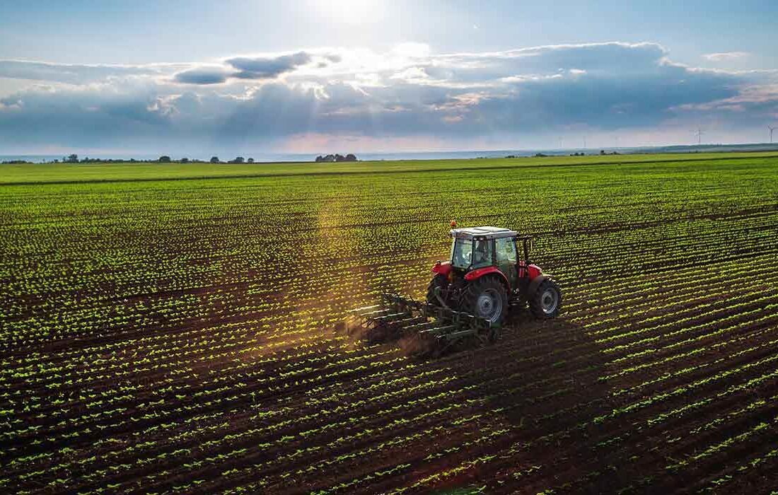 حجم سرمایه گذاری بخش کشاورزی در سال آینده افزایش می یابد