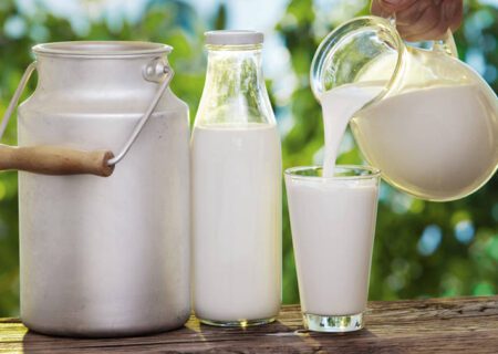 افزایش قیمت شیرخام نباید لبنیات را از سفره مردم حذف کند
