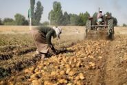 مدل تهاتری، راه‌حل معضل نقدینگی کشاورزان