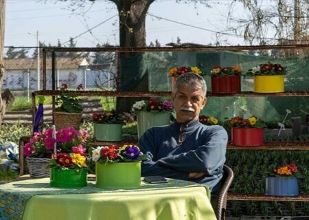 صنعت گل‌وگیاه گلستان در آستانه تزلزل | مسئولان حمایت کنند