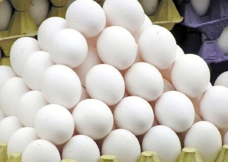 لغو واردات تخم مرغ/ قیمت جدید هفته آینده اعلام می‌شود