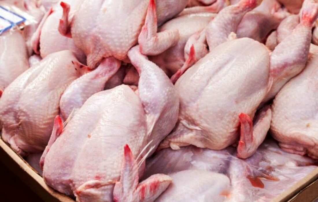 کاهش ۴۵ درصدی تولید گوشت مرغ صحت ندارد