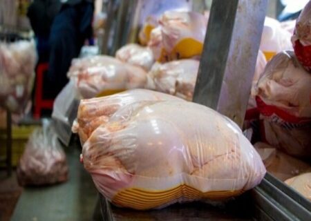 کاهش قیمت مرغ به ۱۵ هزار تومان زیر نرخ مصوب
