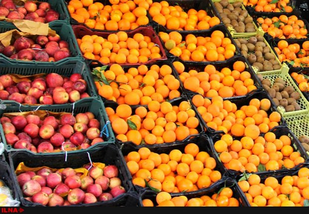 ۶ مانع صادرکنندگان میوه از کشور