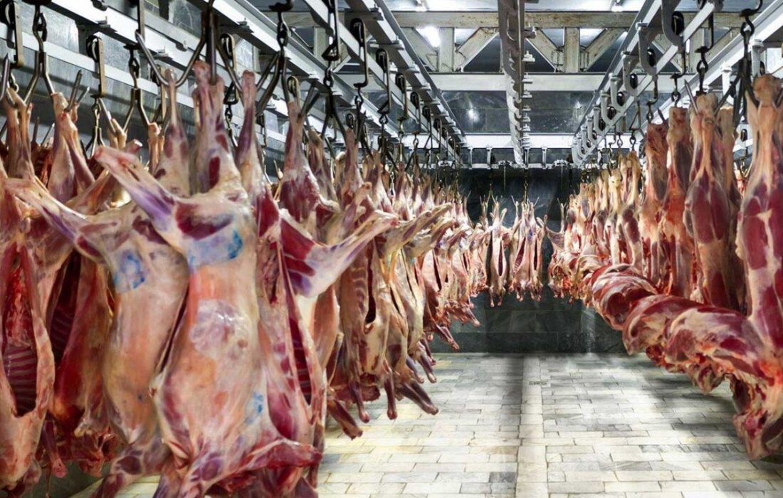 آغاز عرضه گوشت گوسفندی ۸۵ هزار تومانی در هفته دوم ماه رمضان