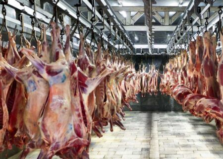 امسال مصرف گوشت قرمز بیش از ۵۰ درصد کاهش یافت