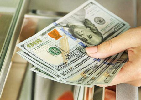 هشدار کارشناسان به خلاهای طرح حذف ارز | دولت تبعات جراحی اقتصادی را گردن بگیرد