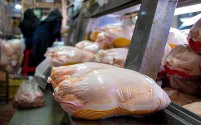 تامین نیاز بازار مرغ گرم در ماه رمضان و عید| قیمت بالاتر از ۸۰ هزار تومان تخلف است