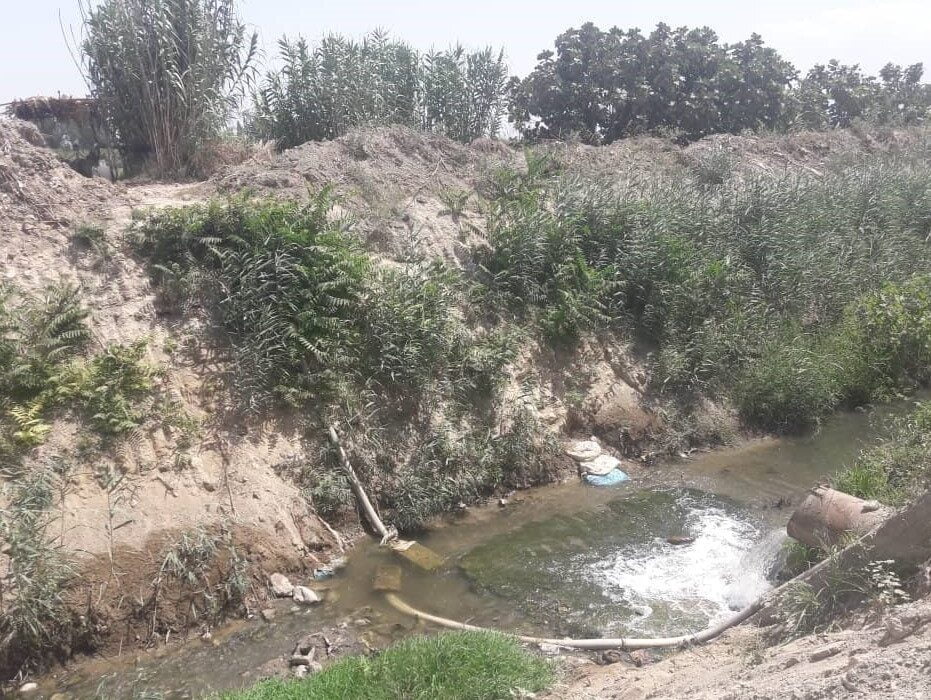 شناسایی  ۹۴مورد آبیاری مزارع گلستان با آب های آلوده