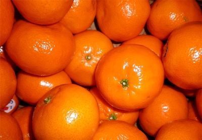 نوبرانه‌های سمی، مراقب نارنگی‌های نارنجی باشید!