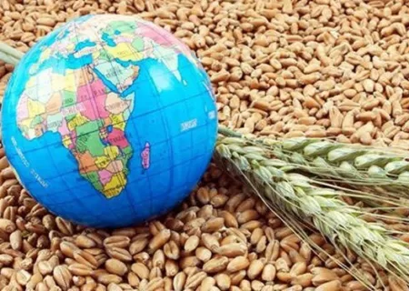 امنیت غذایی جهان شکننده تر شد/اقتصاد جهان تحمل جنگ جدید را ندارد