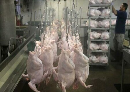 توافق بر سر افزایش قیمت مرغ / افزایش قیمت مصرف‌کننده از ۶۳ به ۷۳ هزار تومان