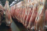 گوشت ۴۰۰ هزار تومانی تناسبی با قیمت دام زنده ندارد