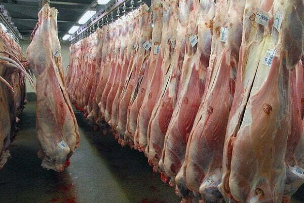 گوشت ۴۰۰ هزار تومانی تناسبی با قیمت دام زنده ندارد