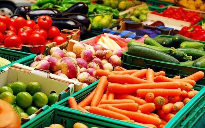 صنایع تبدیلی تا ۵ میلیون تن صادرات سبزیجات را افزایش می دهد