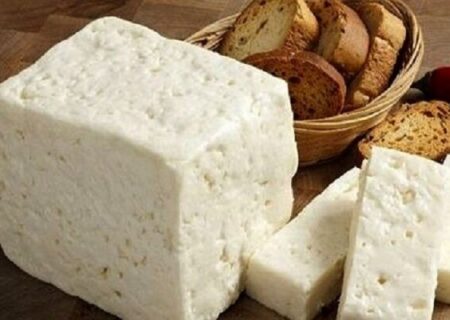 صادرات ۶۶۰ هزار دلاری انواع پنیر به روسیه طی ۳ ماه ابتدای سال