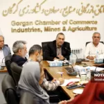 هامان هاشمی کمیسیون کشاورزی اتاق بازرگانی