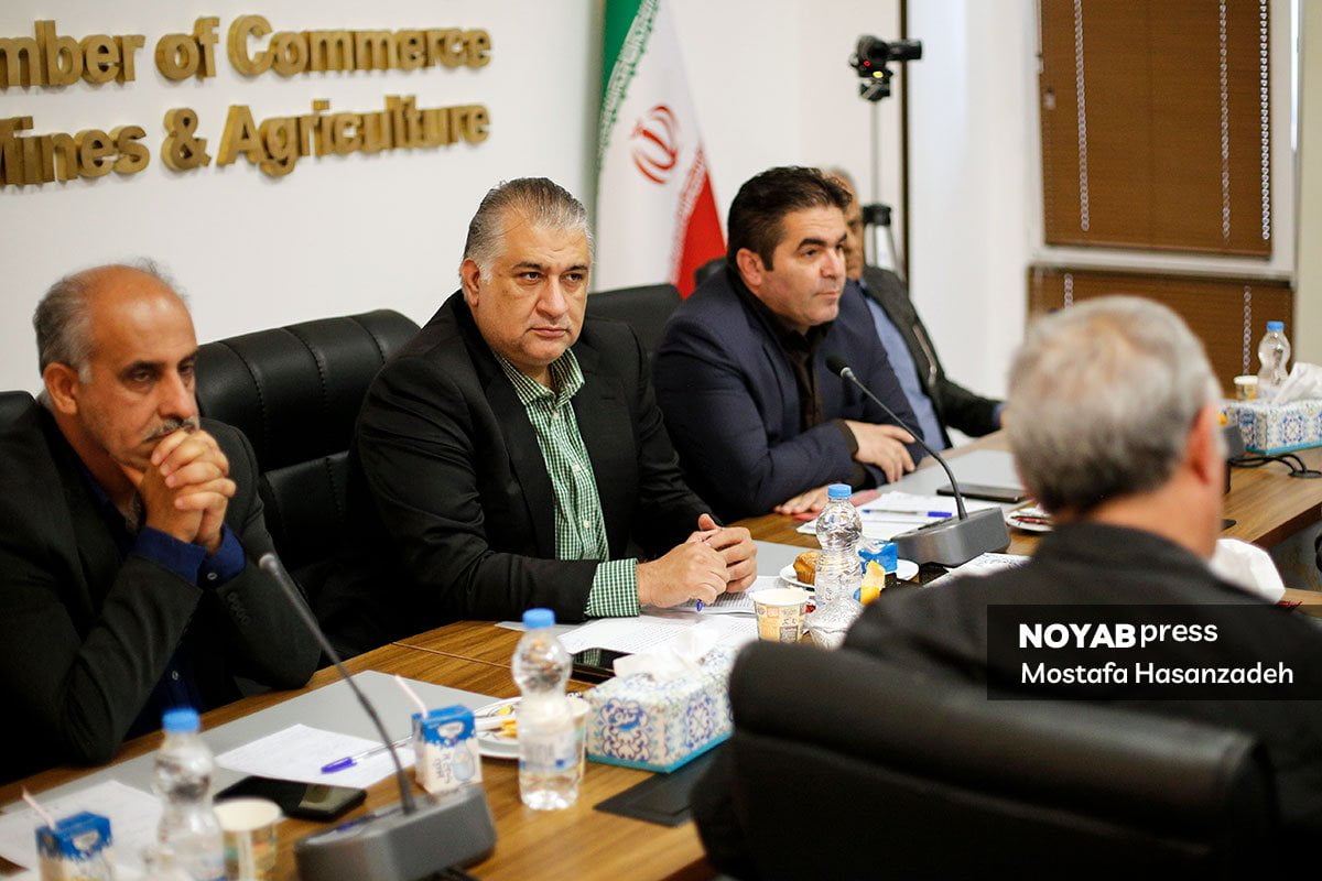 هامان هاشمی