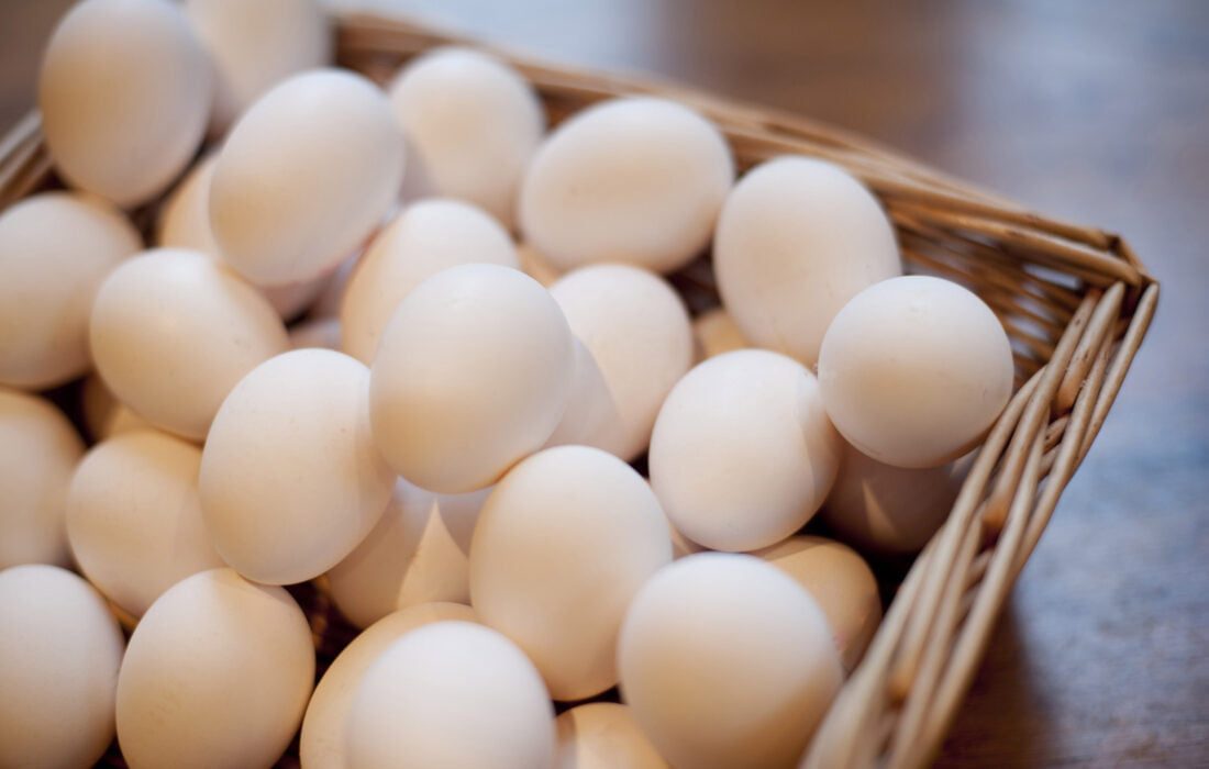 تخم مرغ در ۲ سال گذشته کمترین نوسان قیمت را داشته است