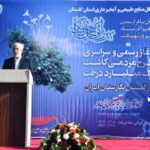 زنگانه کاشت درخت