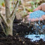 کودهای کشاورزی