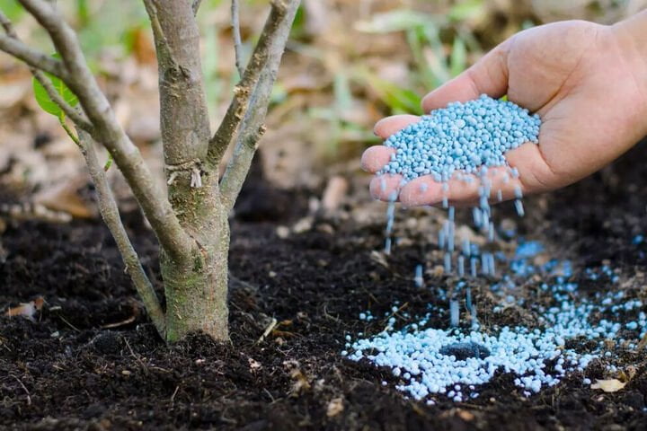 کودهای کشاورزی