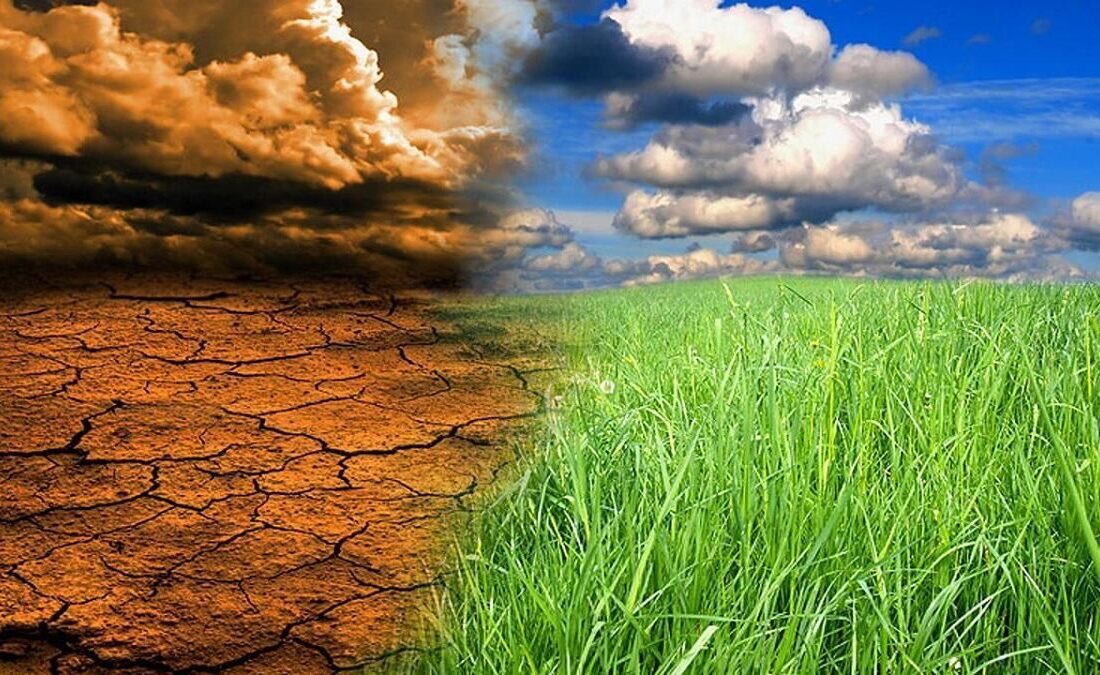 تغییر اقلیم پیامدهایی منفی در بخش کشاورزی ایجاد کرده است