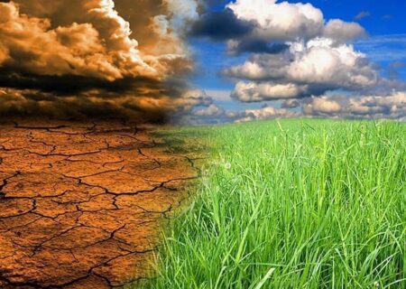 تغییر اقلیم پیامدهایی منفی در بخش کشاورزی ایجاد کرده است
