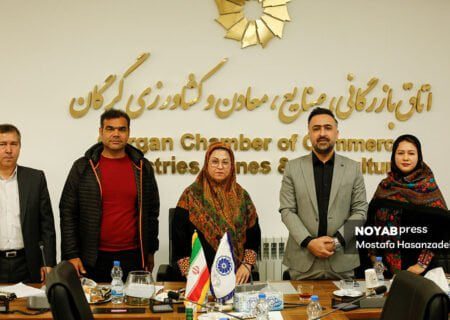 انتخابات انجمن صنفی تولید کنندگان و صادرکنندگان مبل و حرفه های مرتبط گلستان برگزار و اعضای هیئت مدیره آن انتخاب شدند