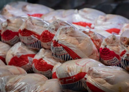 بیش از ۱۵ هزار تن گوشت مرغ منجمد از تولیدکنندگان خریداری شد