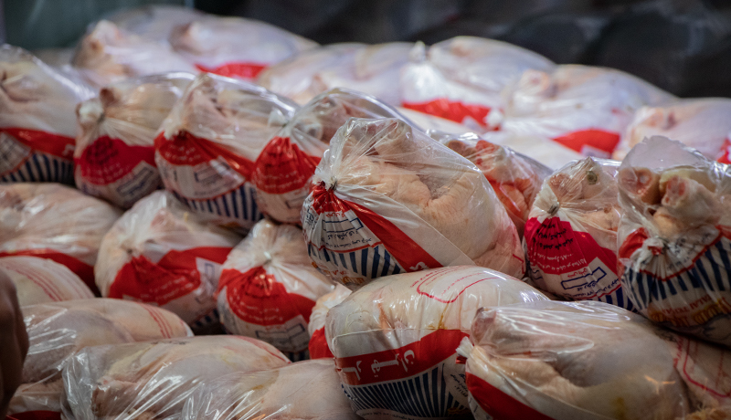 صادرات مرغ از سرگرفته شد