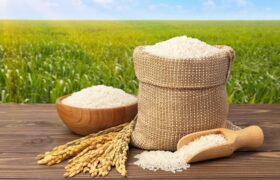 کاهش بیش از ۳۰ درصدی قیمت برنج ایرانی نسبت به سال گذشته