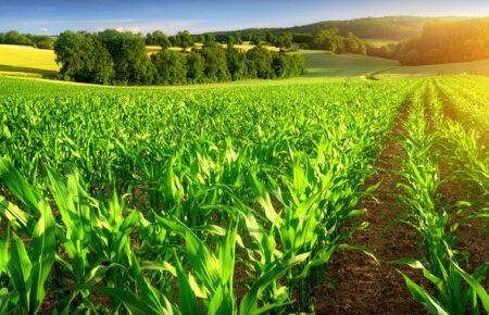 همراهی مردم برای حفظ اراضی کشاورزی با اقدامات ترویجی امکان‌پذیر است