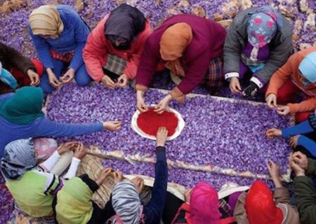 کاهش ۱۱٫۴ درصدی صادرات زعفران ایران به اسپانیا