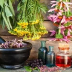 تولید گیاهان دارویی