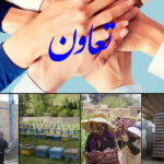 نعاون