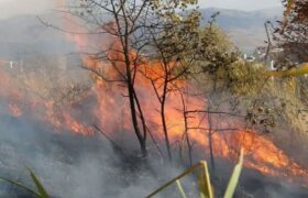 خسارت آتش به ۸ هزار مترمربع از عرصه‌های ملی گلستان
