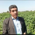 برهان سهرابی موسسه تحقیقات پنبه کشور