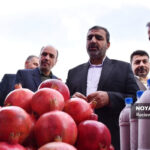 جشنواره انار علی آبادکتول