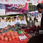 جشنواره انار علی آبادکتول
