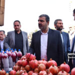 جشنواره انار علی آبادکتول