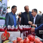 جشنواره انار علی آبادکتول