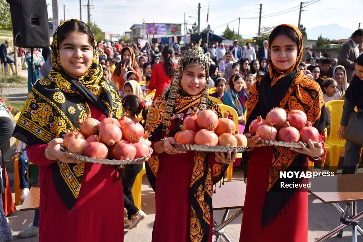 جشنواره انار علی آبادکتول