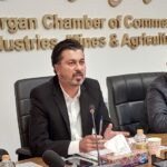 فرهانی، مدیر باغبانی سازمان جهاد کشاورزی گلستان