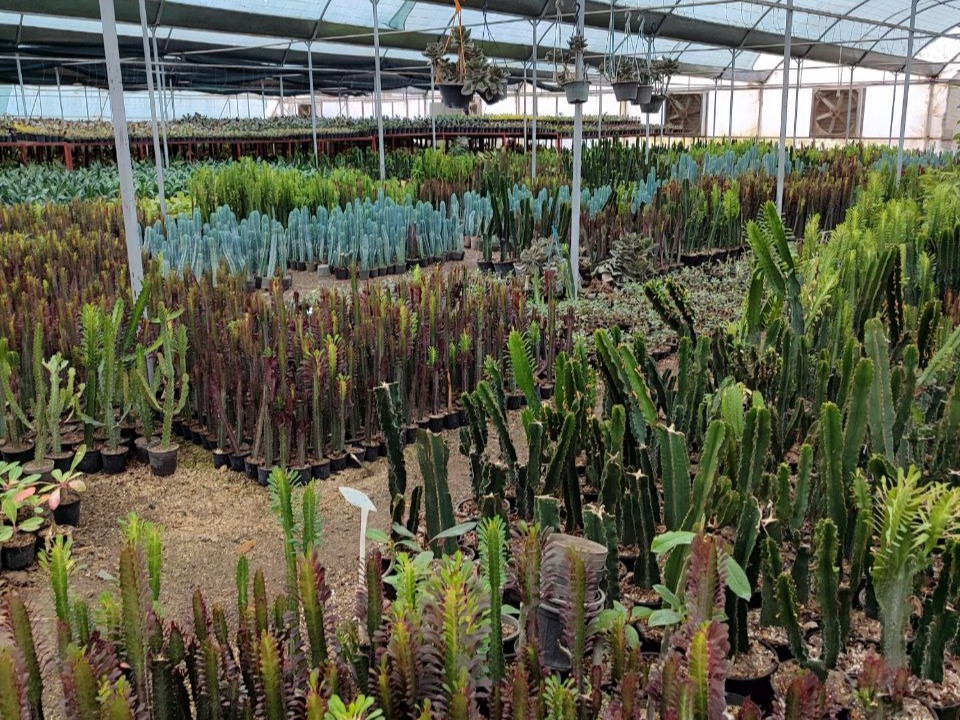 شهرک گلخانه‌ای دانشگاه آزاد گرگان