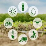 انجمن غلات ایران